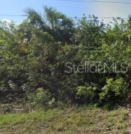 Property for sale at 886 BITLIS STREET SW, PALM BAY, FL, 32908