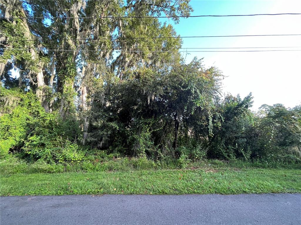 Property for sale at 266 TOMS ROAD, DEBARY, FL, 32713