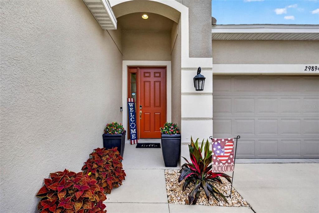 Property for sale at 29894 CHAPEL CHASE DRIVE, WESLEY CHAPEL, FL, 33545