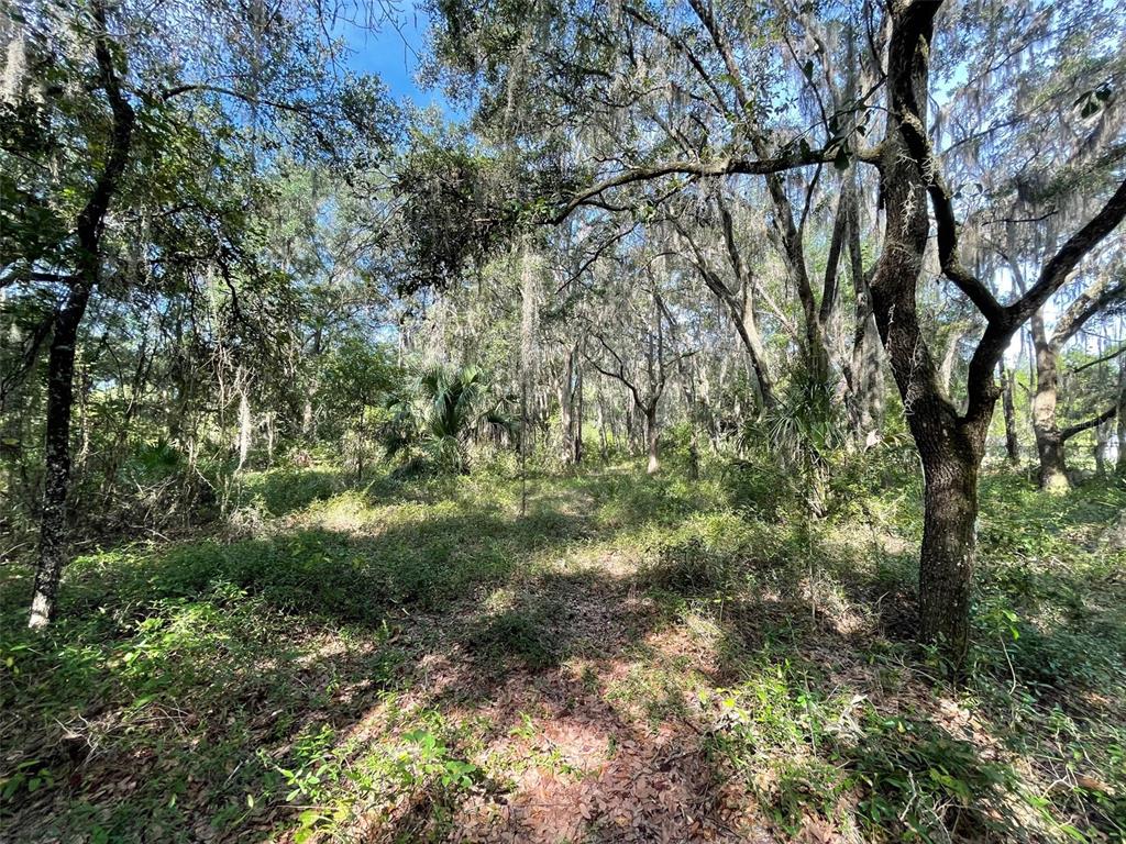Property for sale at LOTS 13 & 14 SW SHOREWOOD DRIVE, DUNNELLON, FL, 34431