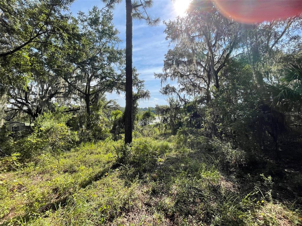 Property for sale at LOTS 13 & 14 SW SHOREWOOD DRIVE, DUNNELLON, FL, 34431