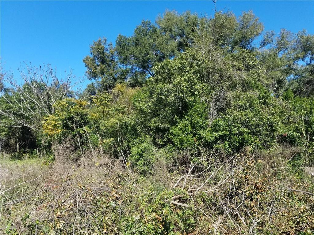 Property for sale at 5 LENOX COURT, DELAND, FL, 32720