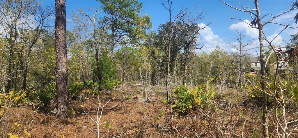 Property for sale at 18043 RAMSEY ROAD, WEEKI WACHEE, FL, 34614