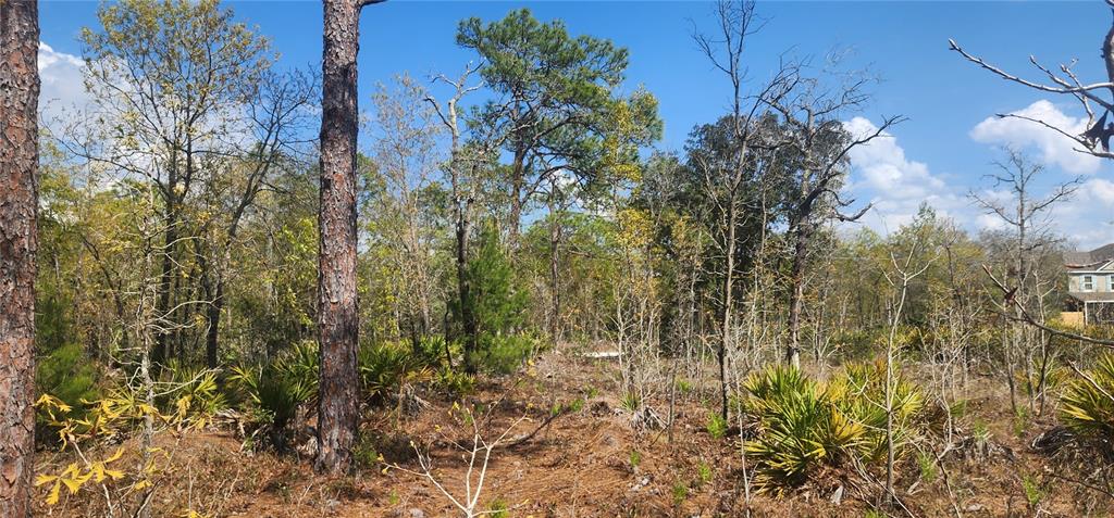 Property for sale at 18043 RAMSEY ROAD, WEEKI WACHEE, FL, 34614