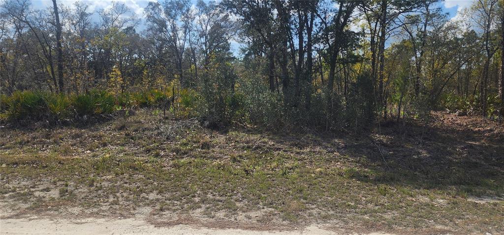 Property for sale at 18043 RAMSEY ROAD, WEEKI WACHEE, FL, 34614