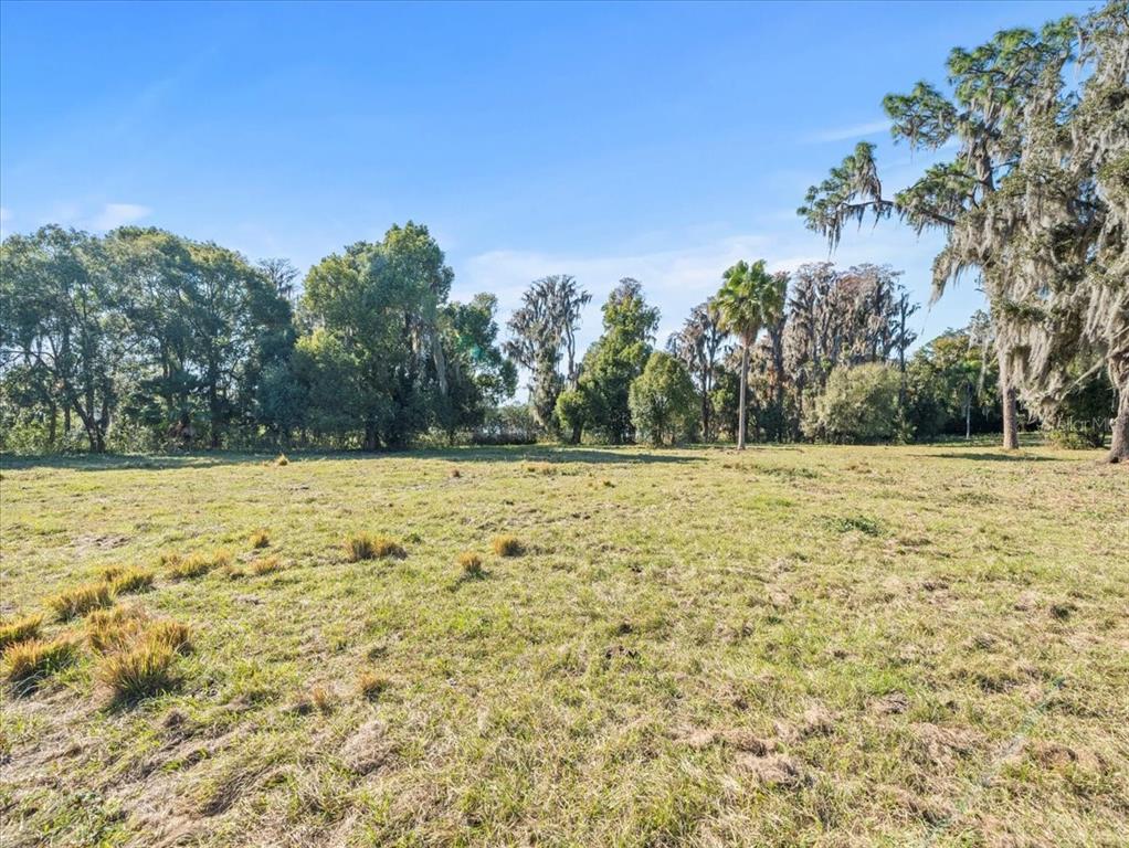 Property for sale at BOY SCOUT ROAD, ODESSA, FL, 33556
