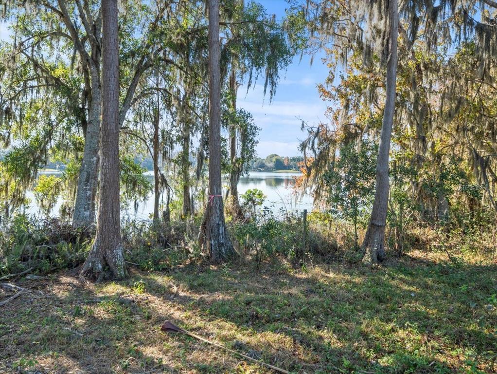 Property for sale at BOY SCOUT ROAD, ODESSA, FL, 33556