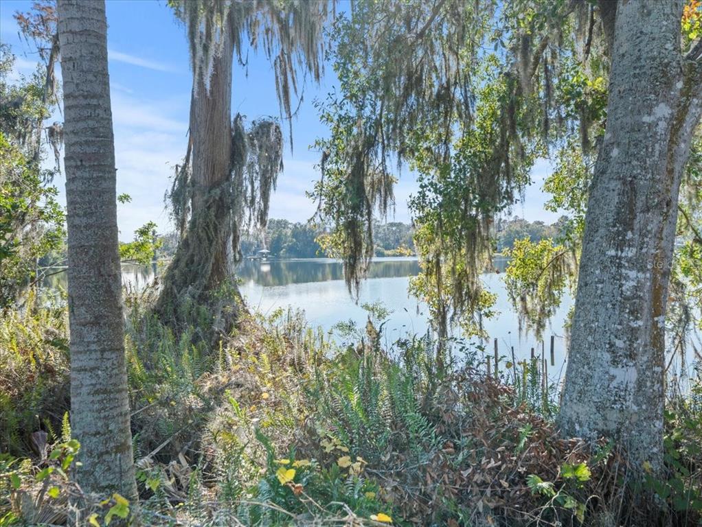 Property for sale at BOY SCOUT ROAD, ODESSA, FL, 33556