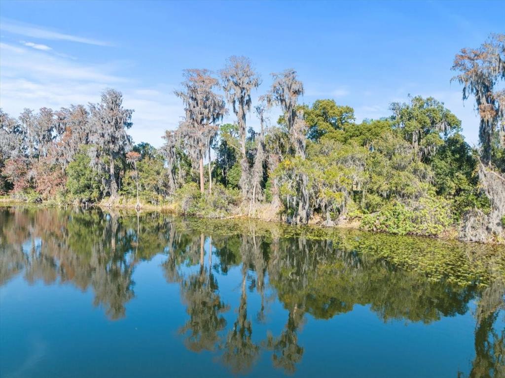 Property for sale at BOY SCOUT ROAD, ODESSA, FL, 33556