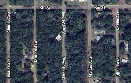 Property for sale at ANNETTE AVENUE, INTERLACHEN, FL, 32148