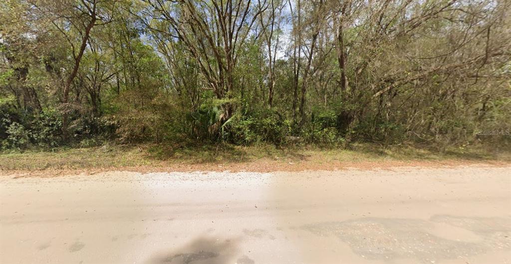 Property for sale at ANNETTE AVENUE, INTERLACHEN, FL, 32148