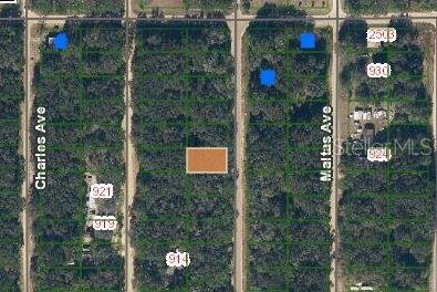 Property for sale at ANNETTE AVENUE, INTERLACHEN, FL, 32148