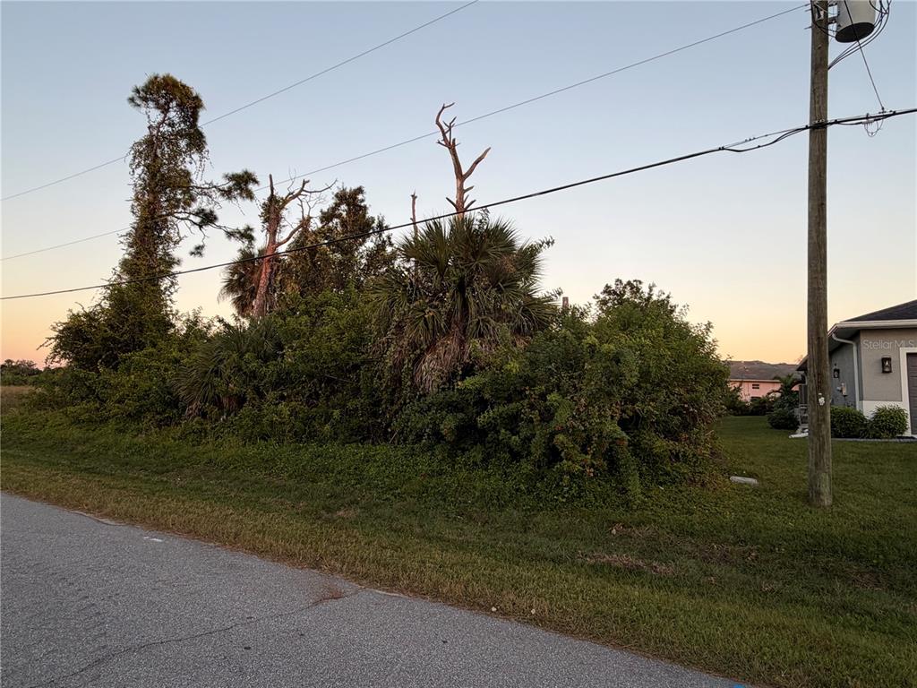 Electric pole at site