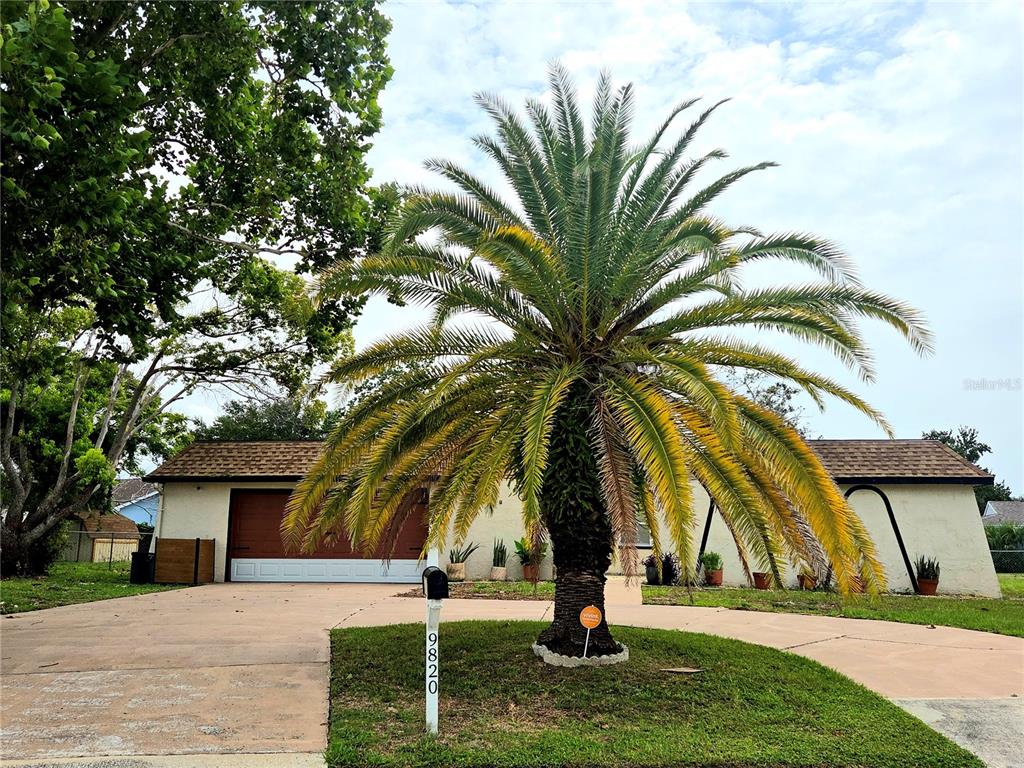 Property for sale at 9820 POCONO STREET, PORT RICHEY, FL, 34668