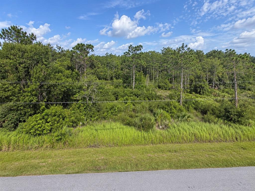 Property for sale at TOPEKA AVENUE, ST CLOUD, FL, 34773