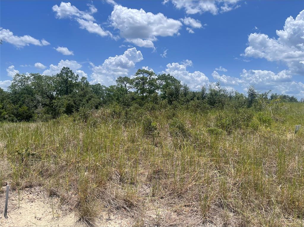 Property for sale at 1340 HOMOSASSA COURT, KISSIMMEE, FL, 34759
