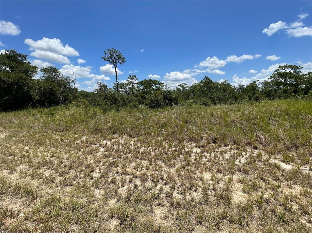 Property for sale at 1340 HOMOSASSA COURT, KISSIMMEE, FL, 34759