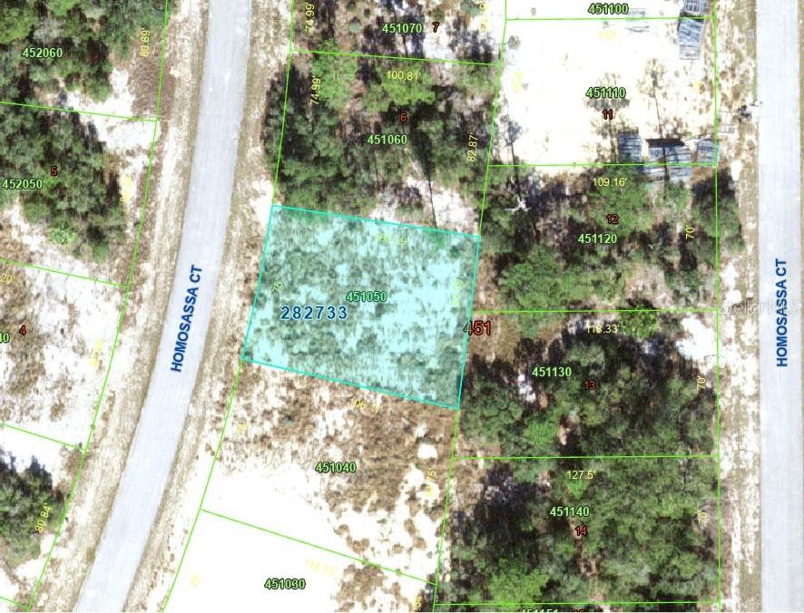 Property for sale at 1340 HOMOSASSA COURT, KISSIMMEE, FL, 34759