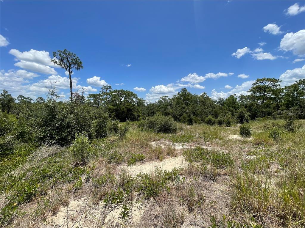 Property for sale at 1340 HOMOSASSA COURT, KISSIMMEE, FL, 34759
