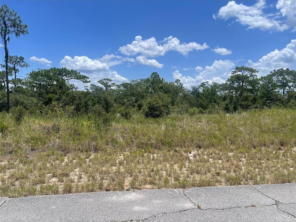 Property for sale at 1340 HOMOSASSA COURT, KISSIMMEE, FL, 34759