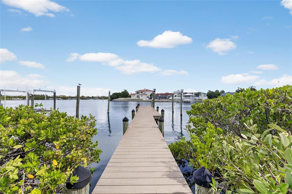 Property for sale at 1231 ACAPPELLA LANE, APOLLO BEACH, FL, 33572