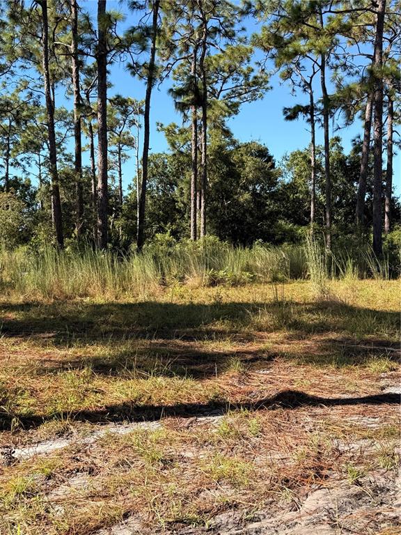 Property for sale at POW MIA MEMORIAL DRIVE, ST CLOUD, FL, 34772