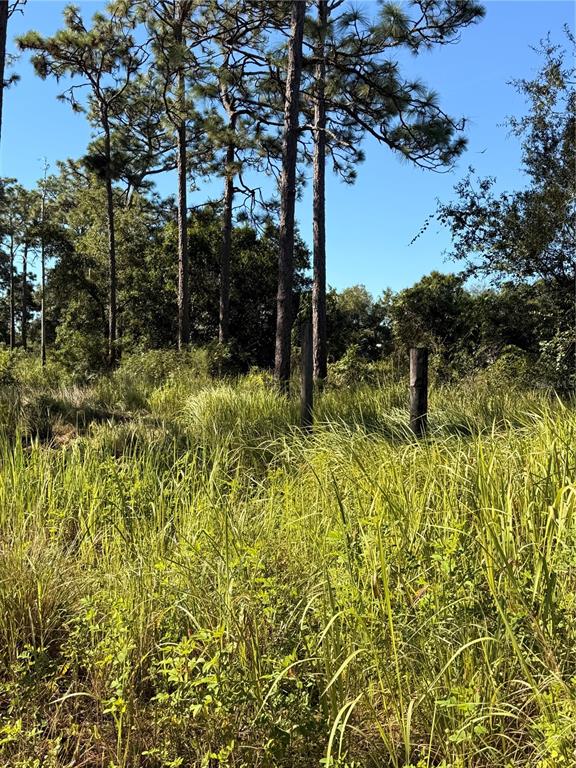 Property for sale at POW MIA MEMORIAL DRIVE, ST CLOUD, FL, 34772