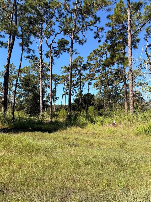 Property for sale at POW MIA MEMORIAL DRIVE, ST CLOUD, FL, 34772