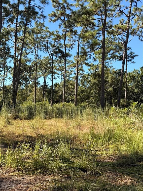 Property for sale at POW MIA MEMORIAL DRIVE, ST CLOUD, FL, 34772