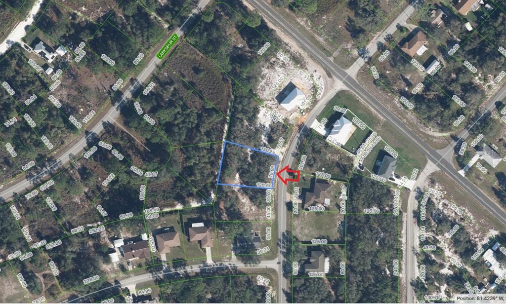 Property for sale at 915 TEA ROSE STREET, LAKE PLACID, FL, 33852