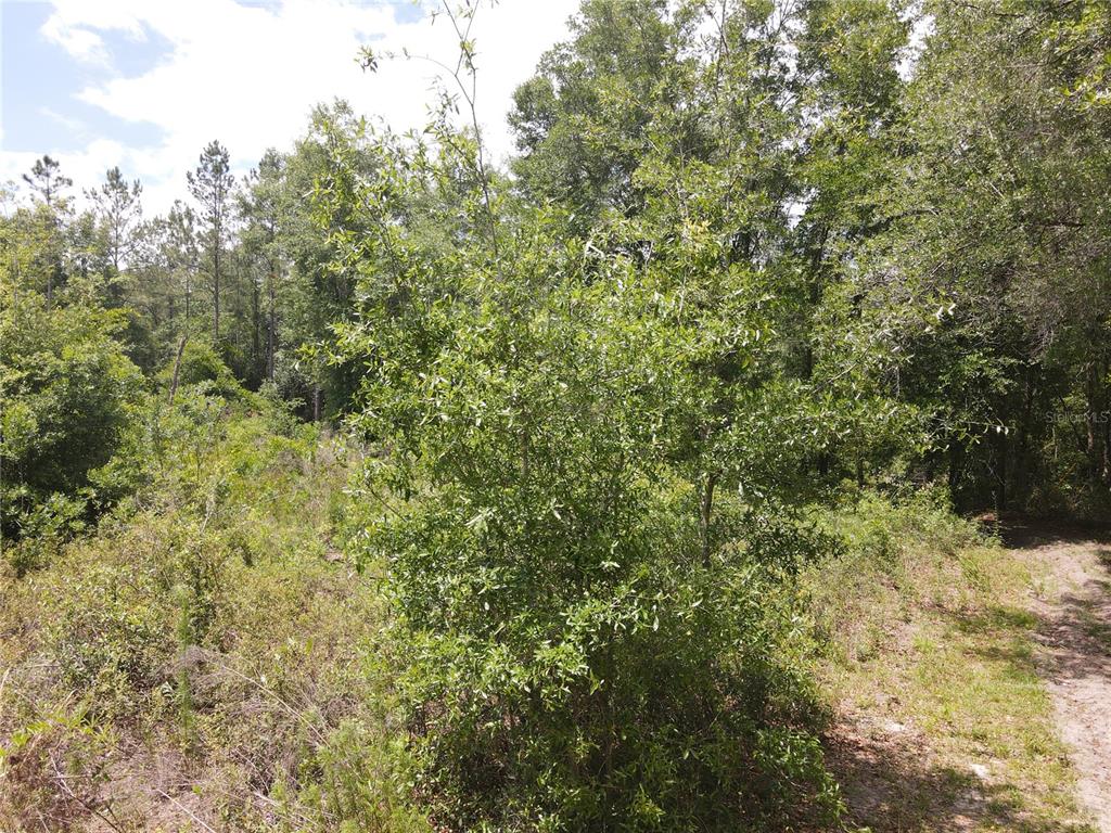 Property for sale at TBD N STATE ROAD 121 UNIT 3, ALACHUA, FL, 32615