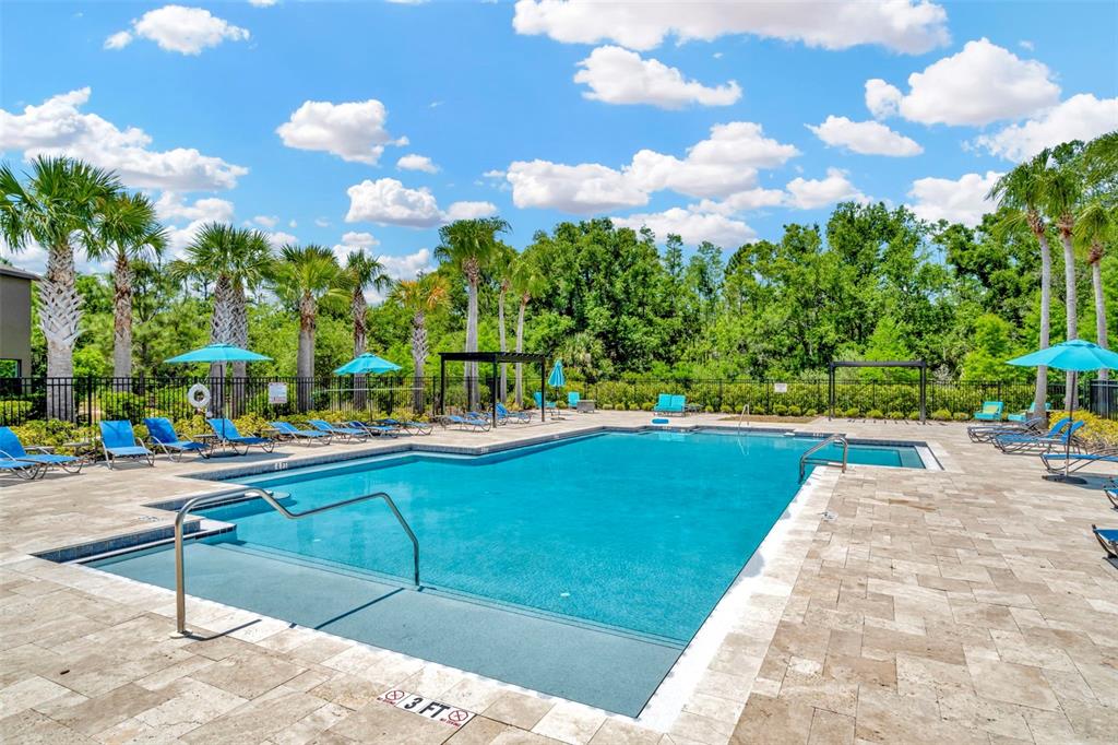 Property for sale at 28516 TRANQUIL LAKE CIRCLE, WESLEY CHAPEL, FL, 33543