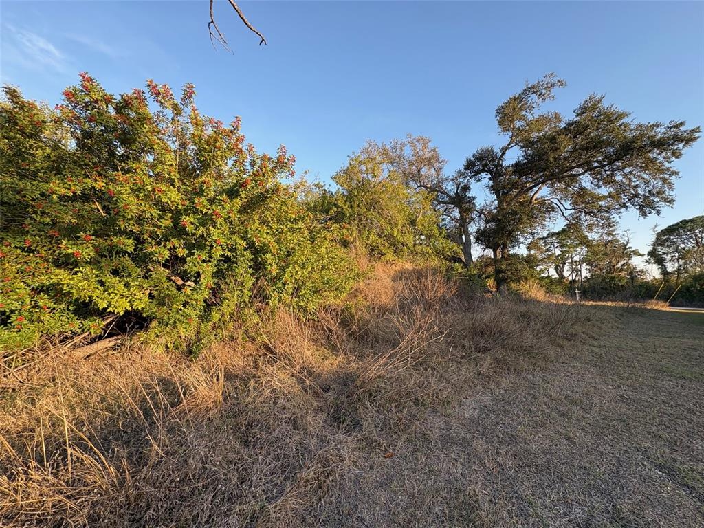 Property for sale at 13333 PALAU CIRCLE, PORT CHARLOTTE, FL, 33953