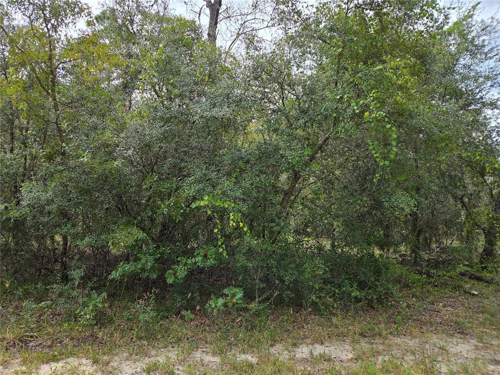 Property for sale at 0000 SW SOUTH WATER COURT, DUNNELLON, FL, 34431