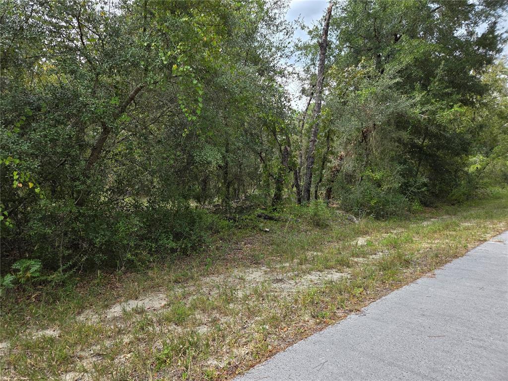 Property for sale at 0000 SW SOUTH WATER COURT, DUNNELLON, FL, 34431