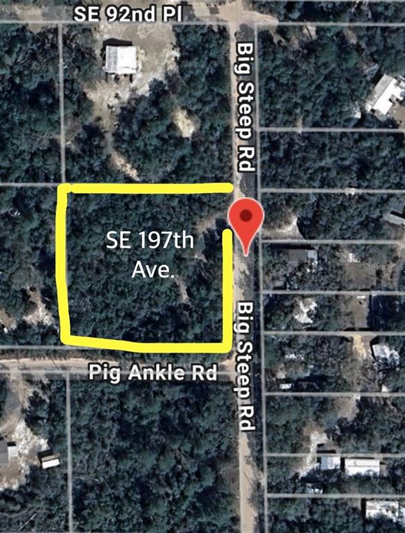 Property for sale at 0 SE 197TH AVENUE, OCKLAWAHA, FL, 32179