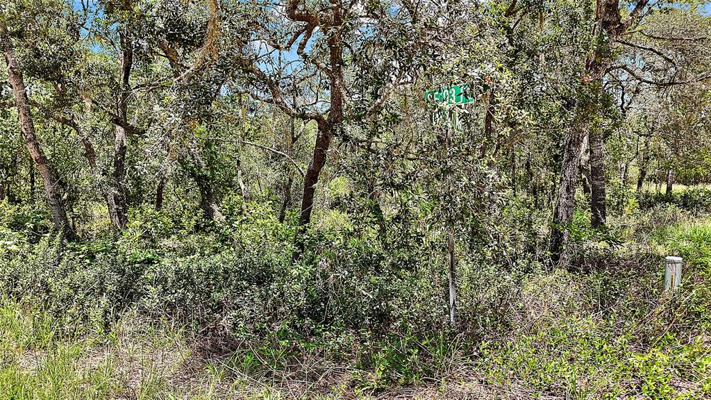 Property for sale at 0 SE 197TH AVENUE, OCKLAWAHA, FL, 32179