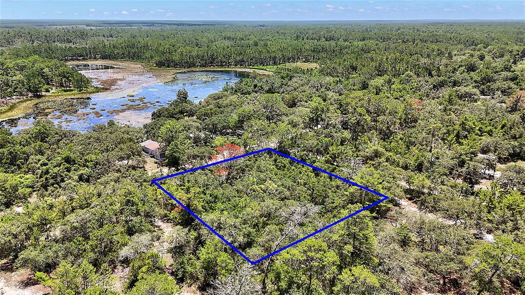 Property for sale at 0 SE 197TH AVENUE, OCKLAWAHA, FL, 32179