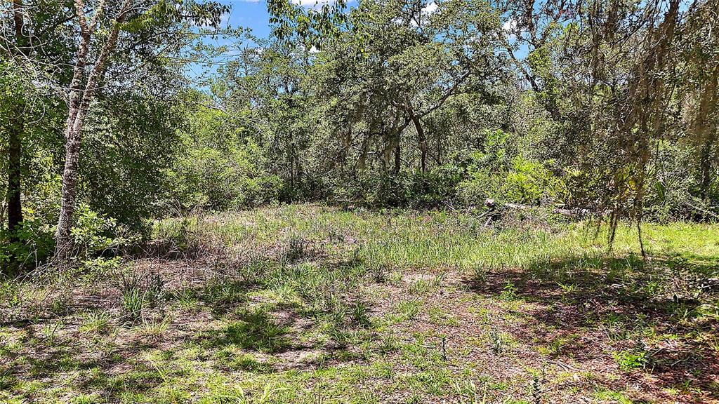 Property for sale at 0 SE 197TH AVENUE, OCKLAWAHA, FL, 32179