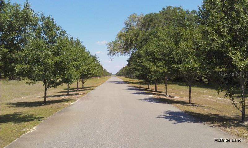 Property for sale at 17001 SW HIGHWAY 484, DUNNELLON, FL, 34432