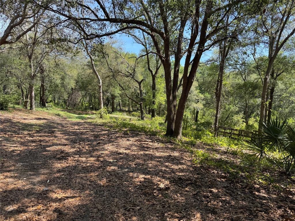 Property for sale at 16137 SE 34TH PLACE, OCKLAWAHA, FL, 32179