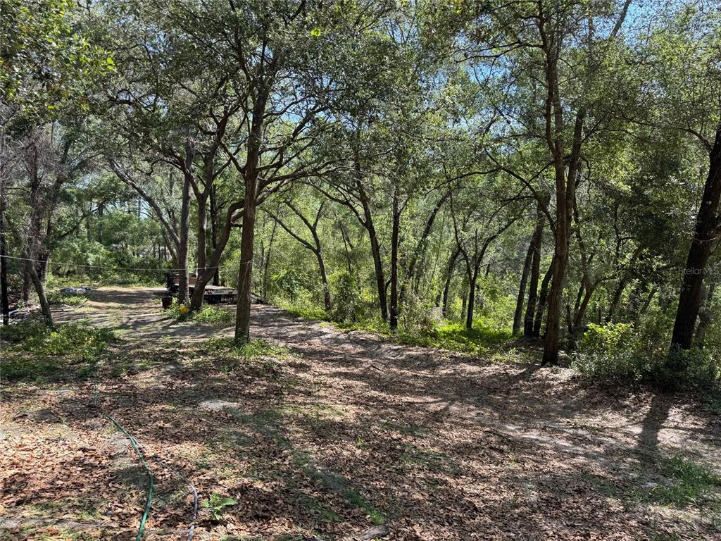 Property for sale at 16137 SE 34TH PLACE, OCKLAWAHA, FL, 32179