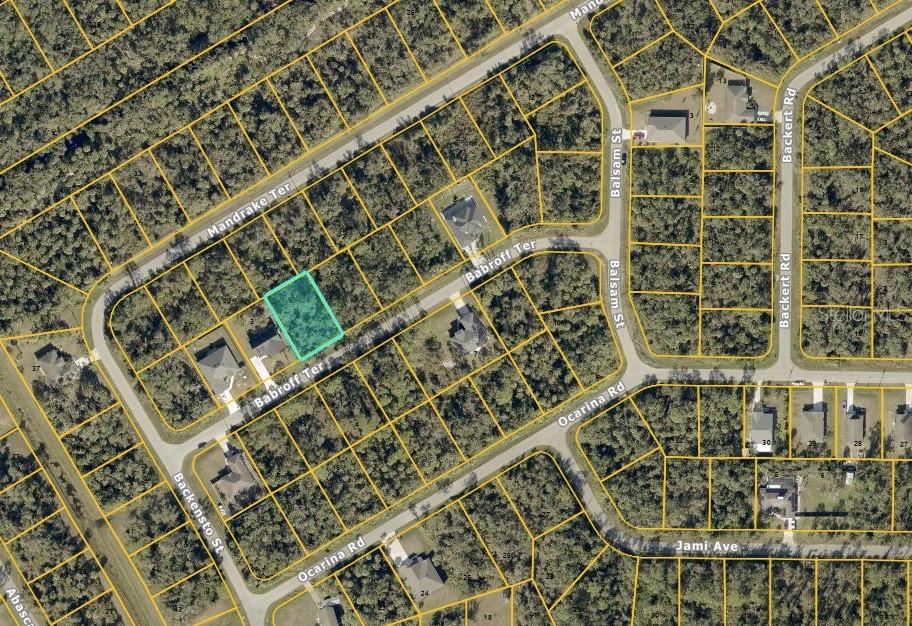 Property for sale at BABROFF TERRACE, NORTH PORT, FL, 34291