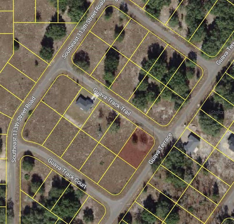 Property for sale at 00 GUAVA TRACK TRAIL, OCKLAWAHA, FL, 32179