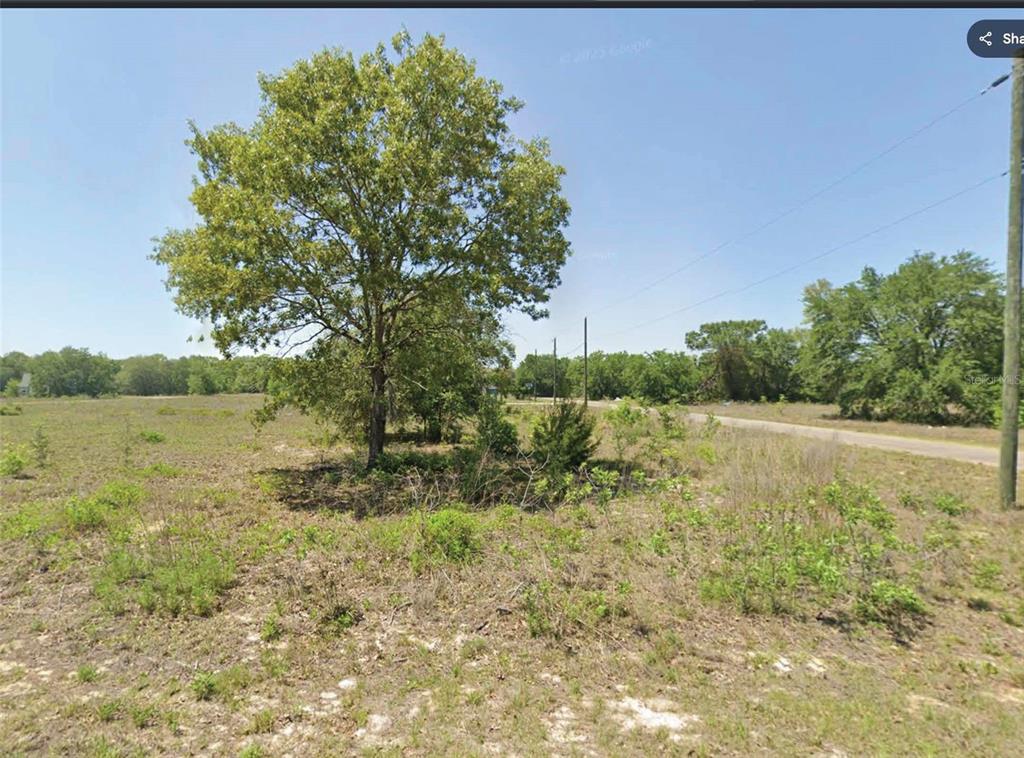 Property for sale at 00 GUAVA TRACK TRAIL, OCKLAWAHA, FL, 32179