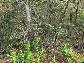 Property for sale at CR 245D, OXFORD, FL, 34484