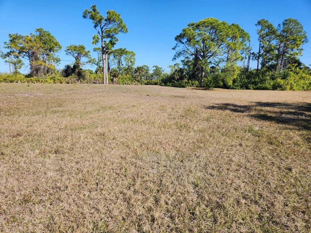 Property for sale at 155 JADE STREET, ROTONDA WEST, FL, 33947