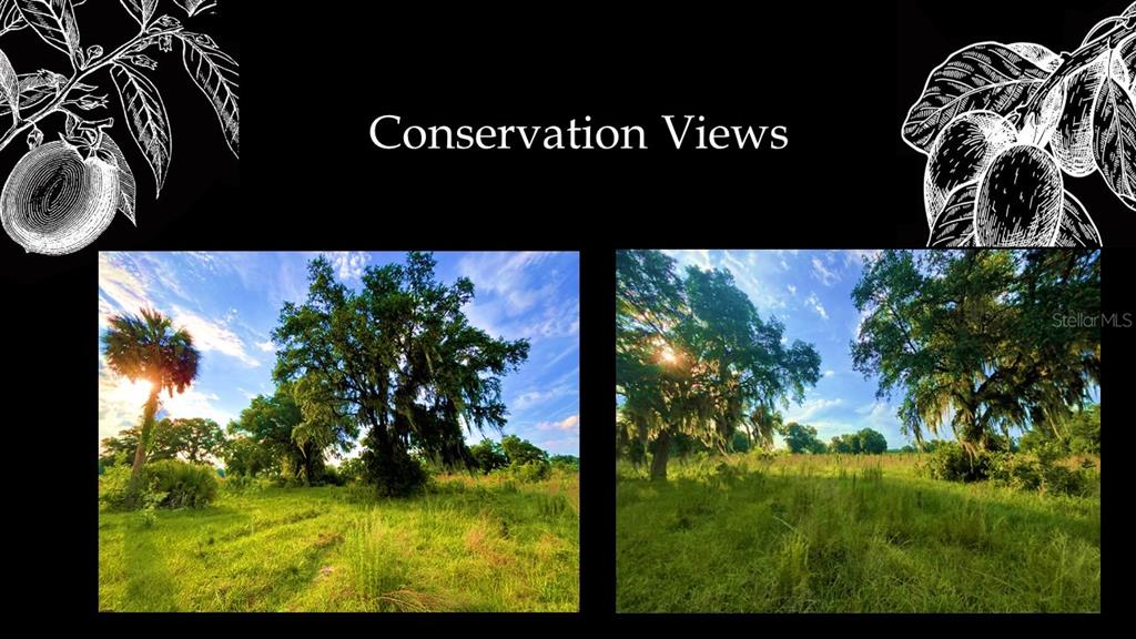 Property for sale at 5430 SW 125TH CIRCLE, ARCHER, FL, 32618