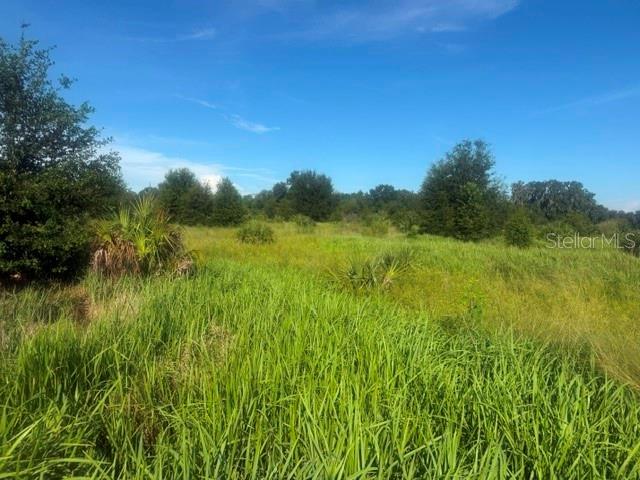 Property for sale at WELCOME ROAD Lot 3, LITHIA, FL, 33547