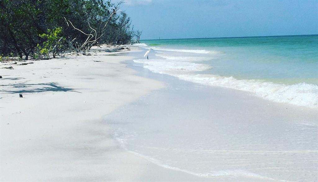 One of the many nearby Beautiful Beaches.